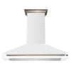 Forno Aria 60 Inch, White Wall-Mounted Range Hood - FRHWM5095-60WHT