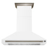 Forno Aria 48 Inch, White Wall-Mounted Range Hood - FRHWM5095-48WHT
